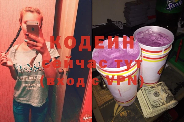 соль ск Пересвет