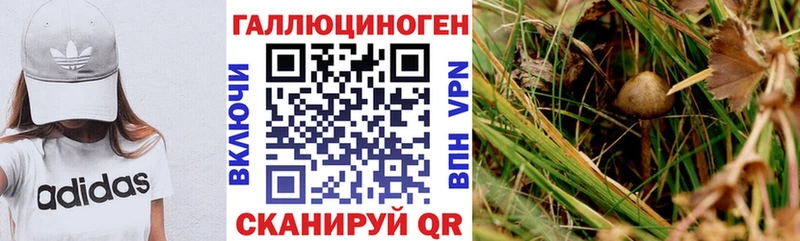 Псилоцибиновые грибы MAGIC MUSHROOMS  даркнет сайт  Чебаркуль 