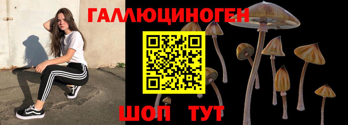 Галлюциногенные грибы Psilocybe Чебаркуль